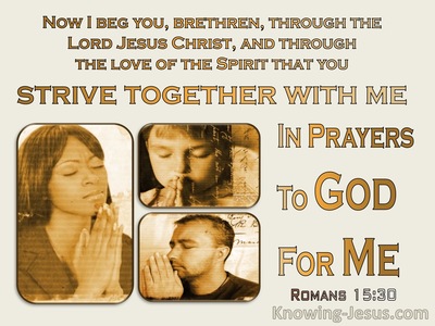 Romans 15:30 Strive Together With Me In Prayer (yellow)